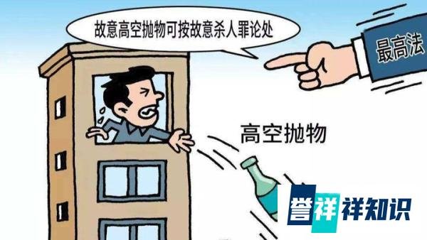 女子高空扔菜刀还怒怼上门调查民警 ，会面对什么样的法律责任？