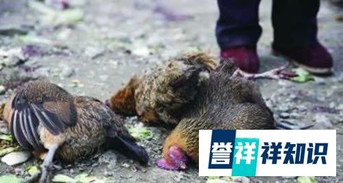 “赶尸匠”田铁武，现场演示赶尸全过程，揭露湘西神秘的赶尸术