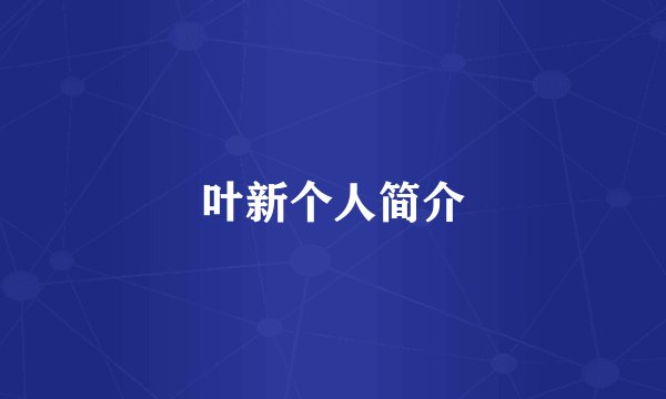 叶新个人简介