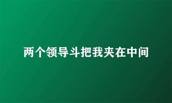 两个领导斗把我夹在中间