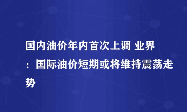 国内油价年内首次上调 业界：国际油价短期或将维持震荡走势
