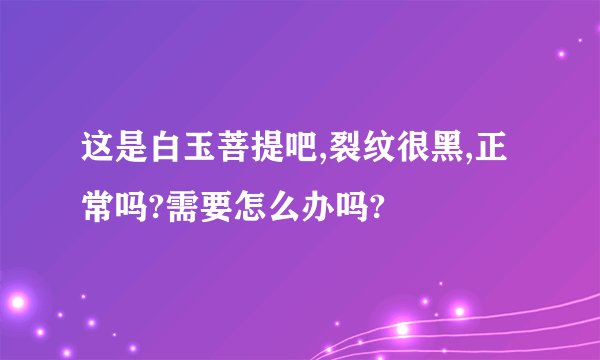 这是白玉菩提吧,裂纹很黑,正常吗?需要怎么办吗?