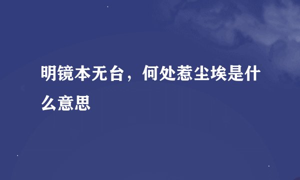 明镜本无台，何处惹尘埃是什么意思