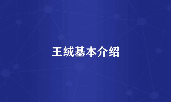 王绒基本介绍