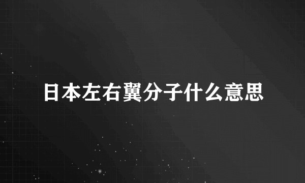 日本左右翼分子什么意思