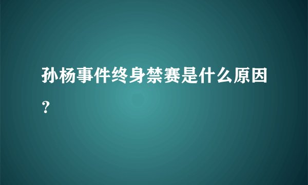 孙杨事件终身禁赛是什么原因？