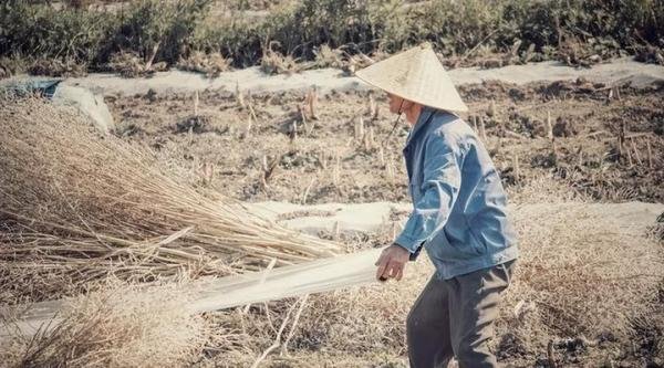 代表建议将农民基础养老金增至600元,网友纷纷表达支持