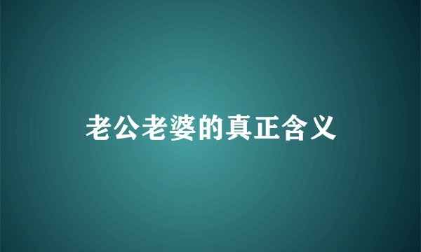 老公老婆的真正含义