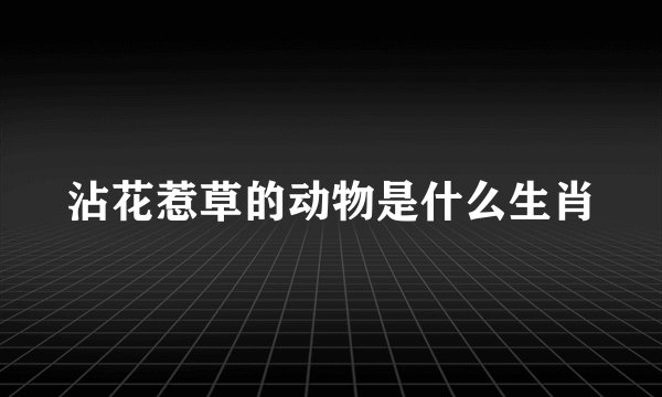 沾花惹草的动物是什么生肖