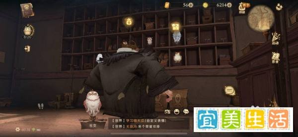 哈利波特刚刚皮皮鬼穿过这里学猫头鹰咕咕攻略