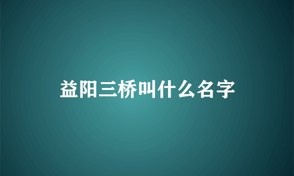 益阳三桥叫什么名字