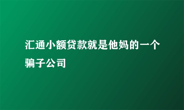 汇通小额贷款就是他妈的一个骗子公司