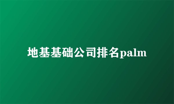 地基基础公司排名palm