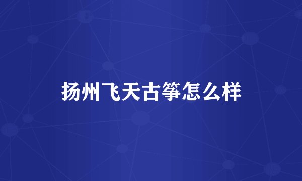 扬州飞天古筝怎么样