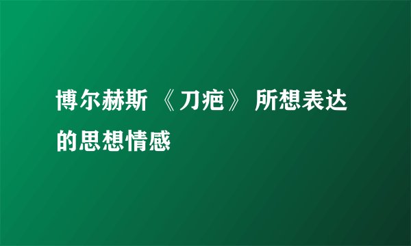 博尔赫斯 《刀疤》 所想表达的思想情感