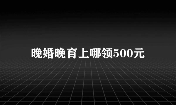 晚婚晚育上哪领500元