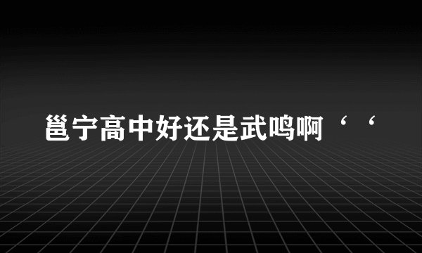 邕宁高中好还是武鸣啊‘‘