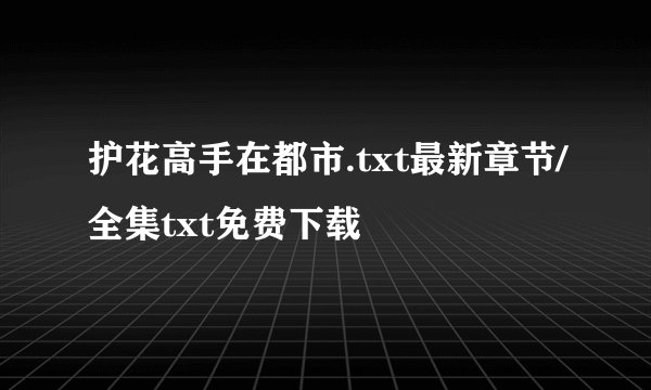 护花高手在都市.txt最新章节/全集txt免费下载