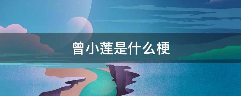 曾小莲是什么梗