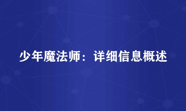少年魔法师：详细信息概述