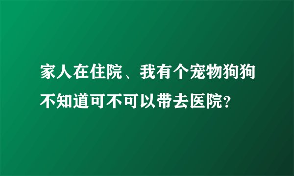 家人在住院、我有个宠物狗狗不知道可不可以带去医院？