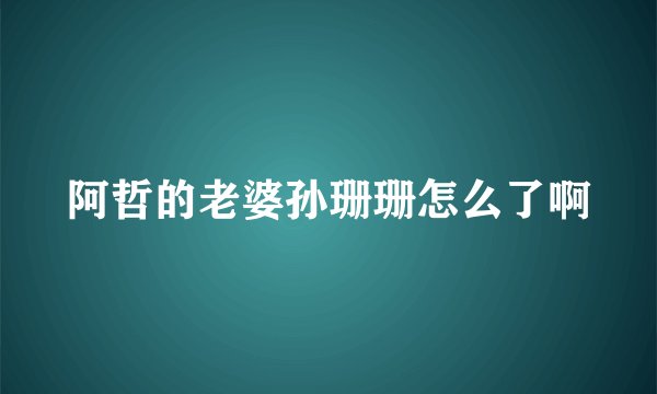 阿哲的老婆孙珊珊怎么了啊