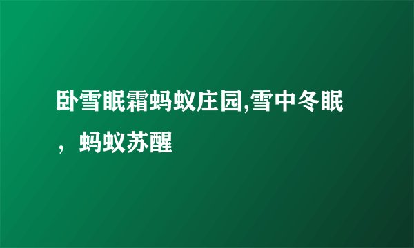 卧雪眠霜蚂蚁庄园,雪中冬眠，蚂蚁苏醒