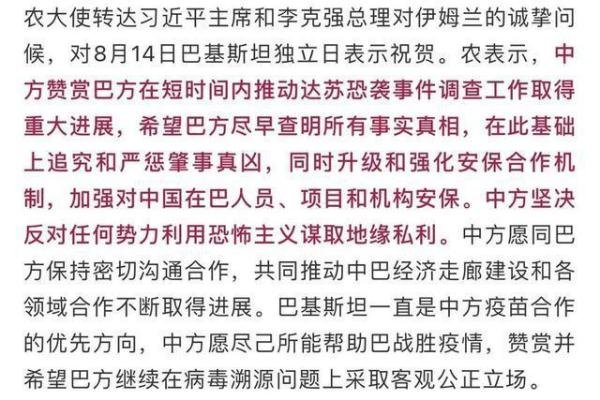巴总理:严惩达苏恐袭事件凶手 这是咋情况？