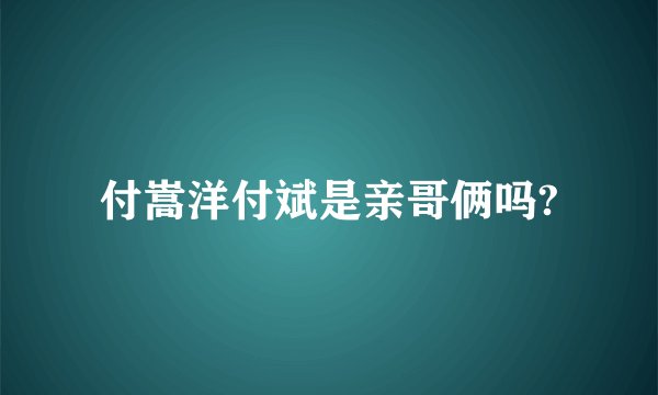 付嵩洋付斌是亲哥俩吗?