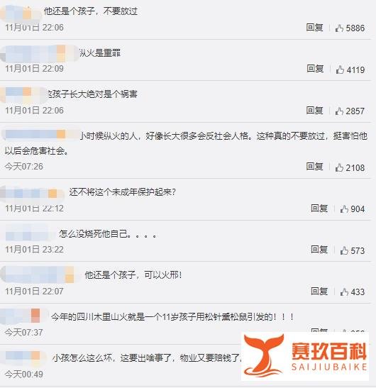 继沈阳男孩接连8次放火烧楼后，广西一13岁男孩又再次“作案”