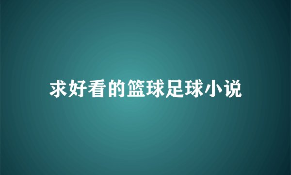 求好看的篮球足球小说