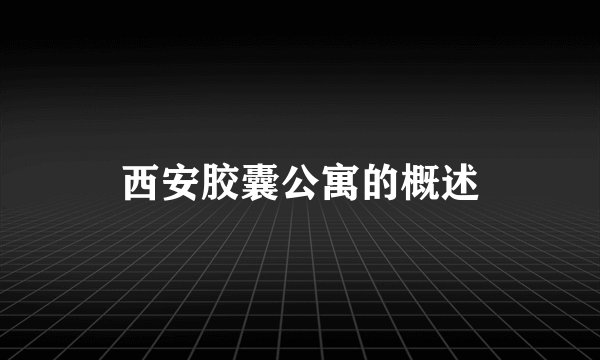 西安胶囊公寓的概述