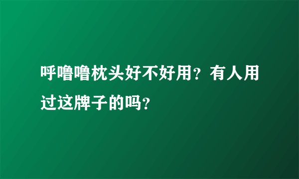 呼噜噜枕头好不好用？有人用过这牌子的吗？
