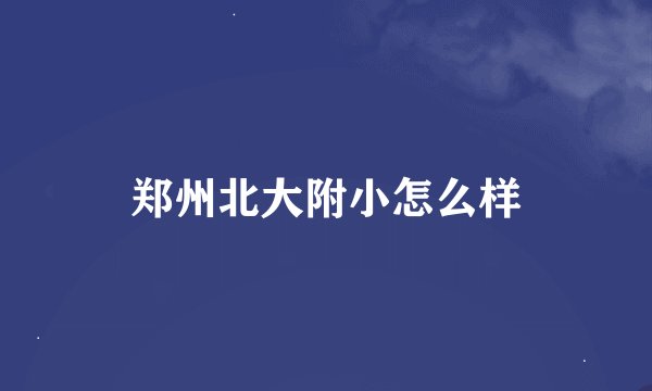 郑州北大附小怎么样