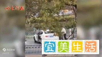 江苏发生轿车被隔离护栏刺穿车祸，一花季少女遇难，现场照片爆光