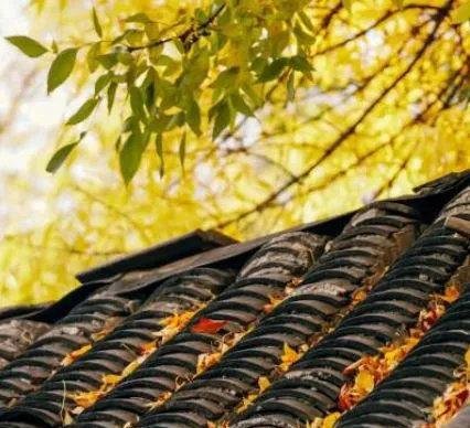 怎么理解“人间忽晚，山河已秋”这句话？