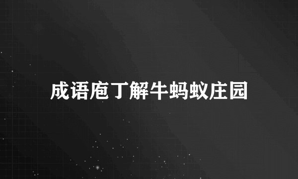 成语庖丁解牛蚂蚁庄园