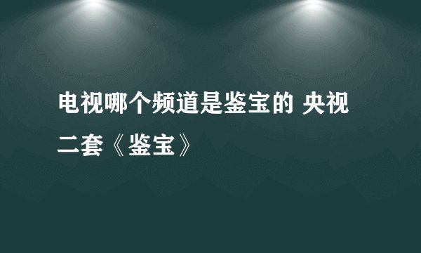 电视哪个频道是鉴宝的 央视二套《鉴宝》