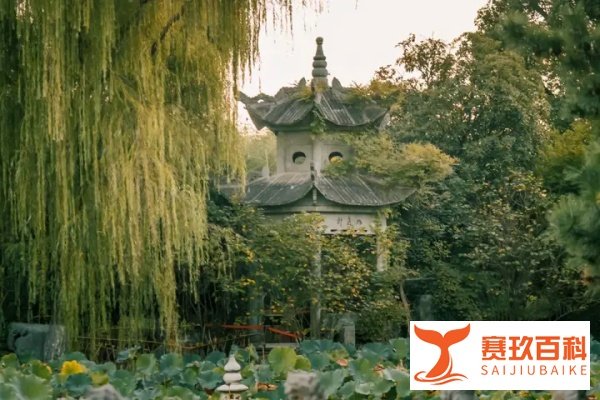 安徽多景区宣布：免票、半价！