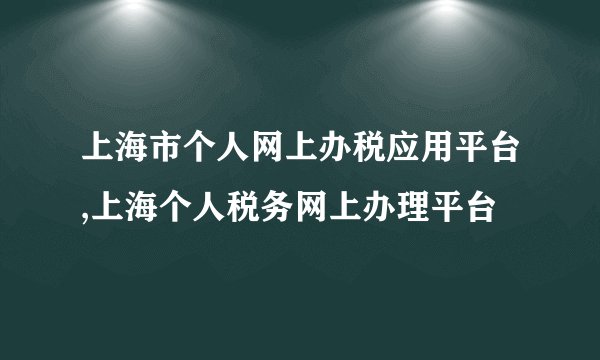 上海市个人网上办税应用平台,上海个人税务网上办理平台