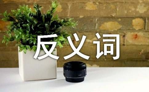 冷静的反义词是什么