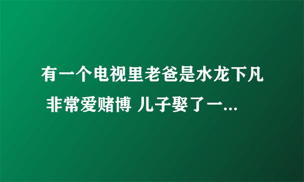 有一个电视里老爸是水龙下凡 非常爱赌博 儿子娶了一个神仙做老婆的电视剧叫