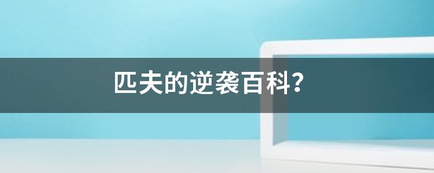 匹夫的逆袭百科？
