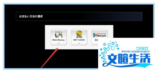 LOL日服充值教程