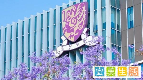 2024高考成绩陆续出炉，别让无情的分数线阻断了你的名校路！