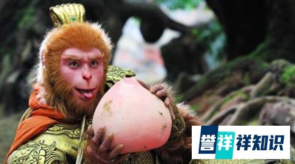 数据帝分析蟠桃产量，真的只有这么点吗？难怪孙悟空吃完了！
