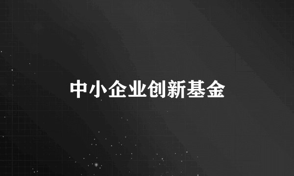 中小企业创新基金