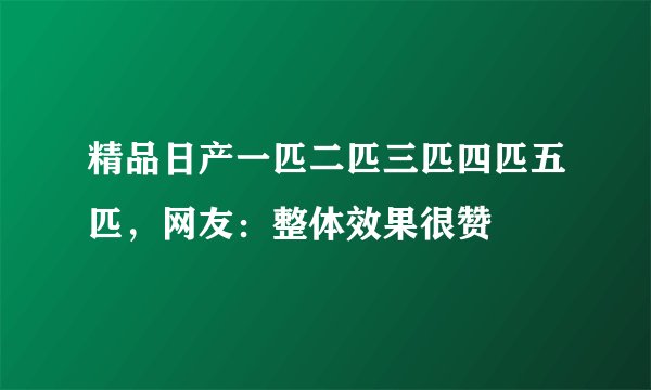 精品日产一匹二匹三匹四匹五匹，网友：整体效果很赞