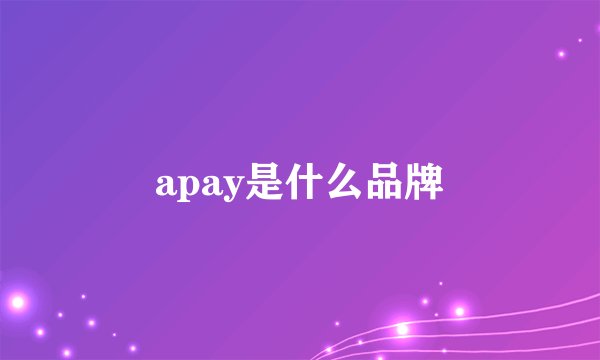 apay是什么品牌