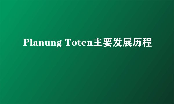 Planung Toten主要发展历程